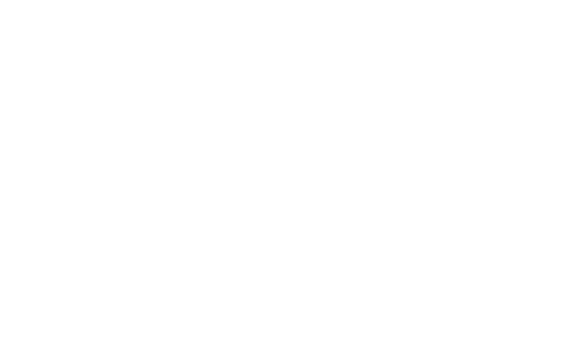 American University of Paris